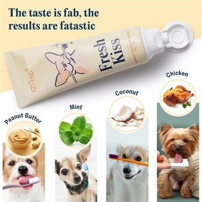 Material of pet toothbrush